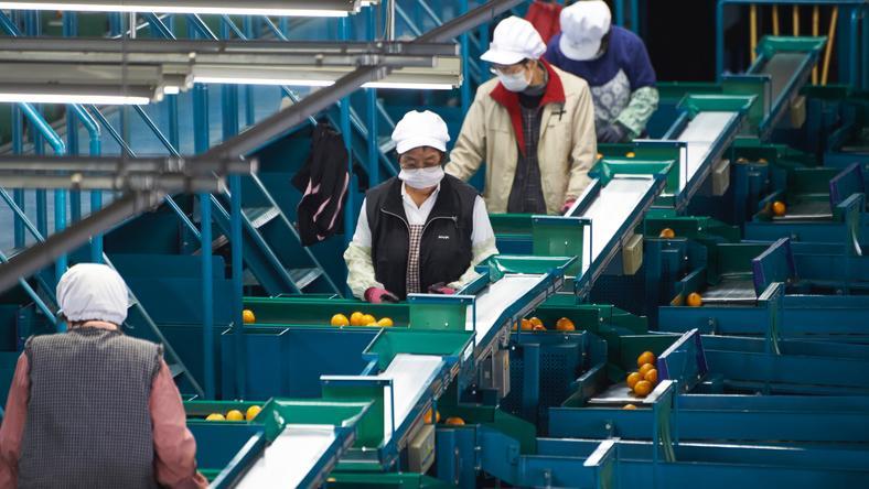 我们为什么需要公共社会学